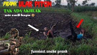 vidio lucu PRANK ULAR PITON Tak Ada Akhlak  Paling Lucu auto Mandi Lumpur Funniest Snake Prank