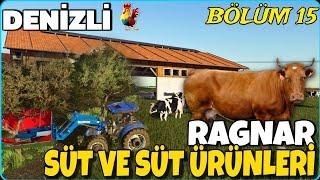 DEV YATIRIMLA ORTAK SÜT ÇİFTLİĞİ KURDUK️ZEYTİN İŞİ BENİ ZARARA SOKTU️GİZEMLİ MAĞARA BULDUM 