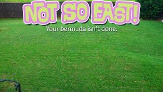 The End is Nigh for Bermuda Lawns... FALSE #bermudalawncare