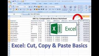 Excel How-To Cut Copy and Paste Basics