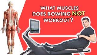 What Muscles Does Rowing NOT Work? What’s Shockingly NOT Used & How to Maximize Your Workout