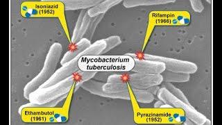 Tuberculosis Medications