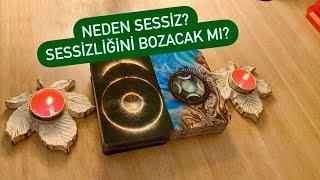 NEDEN SESSİZ? SESSİZLİĞİNİ BOZACAK MI?