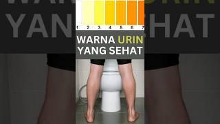 Ketahui Warna Air Kencing Anda Petunjuk Kesehatan Tubuh #Shorts