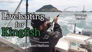 Livebaiting for Kingfish with Dave Dekyn and Nathan  Tauranga Harbour 