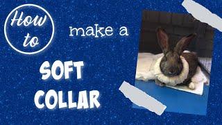 HOW TO MAKE A SOFT COLLAR FOR YOUR RABBIT