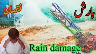 Mehmoodabad Tahli Darbar Sharif rain damage #rain #damage #darbar #sharif #video #newvideo