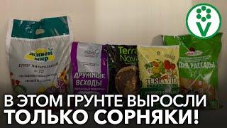 БОЛЬШЕ НИКОГДА НЕ КУПЛЮ ЭТОТ ГРУНТ ДЛЯ РАССАДЫ Контрольная закупка грунтов для рассады