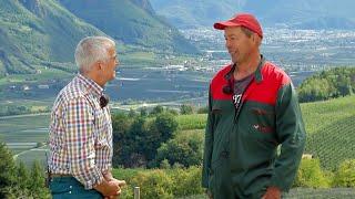 SÜDTIROL VALLE DELLADIGE IL TEMPO DELLE MELE