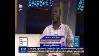 الهوسا في السودان - د  عبد العزيز محمد موسى - 26 - 07 - 2022 - مساء جديد