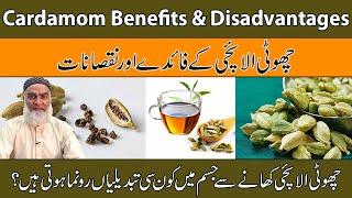 Benefits-Disadvantages Of Cardamom Urdu Choti Elaichi Ke Fayde Aur Nuksan Al-Razaqi Health Recover