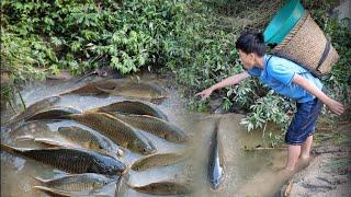 Found a pool full of stranded fish after the flood. Orphan Nams joy when he catches fish to sell