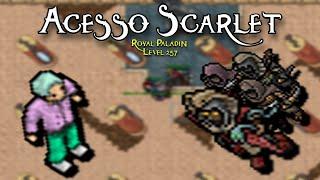 TIBIA  ROYAL PALADIN LEVEL 257 ACESSO SCARLET SOLO