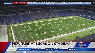 New turf inside Lucas Oil Stadium ahead of upcoming Colts season