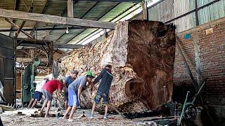 As a result of the sweet mouth of corruptors luxury tamarind wood is valued at 850 millionsawn for