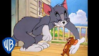 Tom & Jerry  Oh My Buddy  Classic Cartoon Compilation  WB Kids