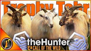 A Tahr Breakthrough?  FINALLY Taking Down Trophy Tahr in Call of the Wild