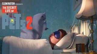 The Secret Life Of Pets 2  It’s Gonna Be a Lovely Day Lyric Video  Illumination