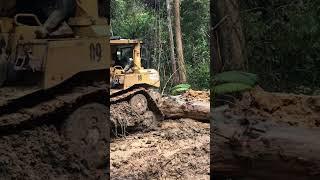 Proses pengeluaran kayu dari hutan.estapet ke TPK.