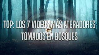 Top Los 7 Videos Más Aterradores Tomados En Bosques