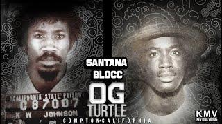 K.M.V. 3.3.1 - OG Turtle Santana Blocc Compton Crips Remembered by sister Diane