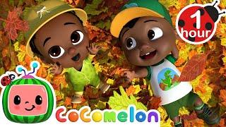 Colorful Autumn Leaves + More  CoComelon - Its Cody Time  Songs for Kids & Nursery Rhymes