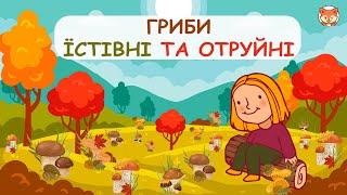 Гриби їстівні та отруйні. Дітям про гриби.