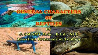 REPTILES General Characters