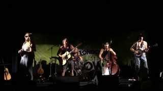 London Acoustic Show 2015 - Steve N Seagulls Seek and Destroy