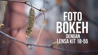 Teknik Foto Bokeh Blur Dengan Lensa kit 18-55mm