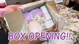 Reborn Baby Box Opening huge haul