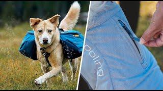 Top 8 Camping Gear for Dogs 2023