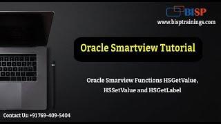 Oracle Smarview Functions HSGetValue HSSetValue and HSGetLabel  Oracle Smartview Tutorial  BISP