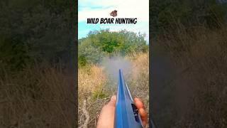 Wild boar shot #wildboar #hog #hunting #dog #hound #nature #benelli #pig #shooting