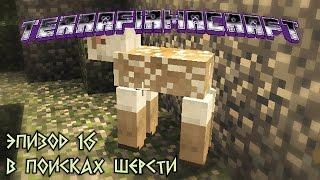 TerraFirmaCraft 16. В поисках шерсти