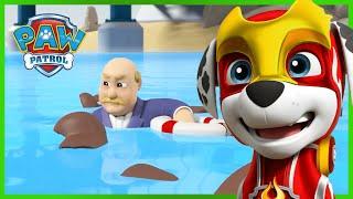 Mighty Pups save Adventure Bay from Harold Humdinger - PAW Patrol - Cartoons for Kids Compilation