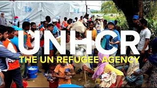 UNHCR The UN Refugee Agency