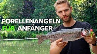 FORELLENANGELN für EINSTEIGER - Meine Taktik für den FORELLENSEE  Fishing-King.de