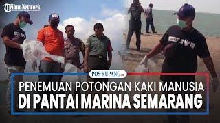 Semarang Geger Potongan Kaki Manusia Ditemukan Mengambang di Pantai Marina