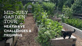 Mid-July Garden Tour  Heatwave Challenges & Triumphs