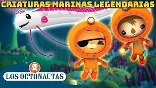 Los Octonautas -  Criaturas marinas legendarias   Compilado  Episodios Completos