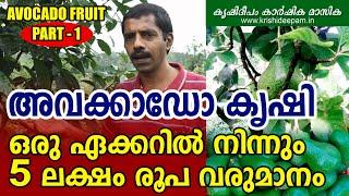 അവക്കാഡോ കൃഷി   ഒരു ഏക്കറിൽ നിന്നും 5 ലക്ഷം രൂപ വരുമാനം  AVOCADO FRUIT