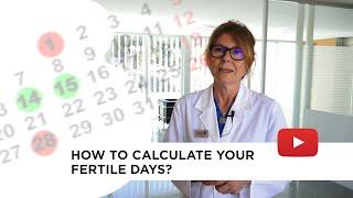 Calculating ovulation the optimum time for getting pregnant