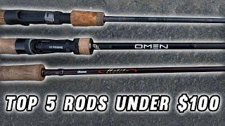 The Top 5 fishing rods under $100 2024 Buying Guide