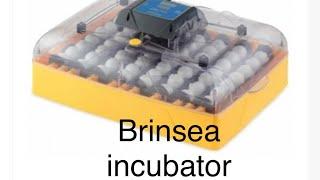 Brinsea incubator review. Hatching eggs made easy