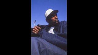 FREE FOR PROFIT Snoop Dogg x Warren G Type Beat  90s G-funk West Coast Type Beat 2023
