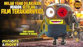 DORAEMON KETAR KETIR MELIHAT INI - Alur Cerita MINIONS AND MORE ONE