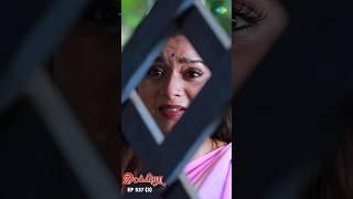 Ilakkiya Serial Shorts  Ep 537 - 3  Shambhavy Nandhan Sushma Nair   #ytshorts #shorts