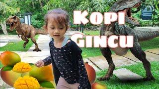 KOPI GINCU SEDONG CIREBON DIKELILINGI KEBUN MANGGA DAN DINOSAURUS RAKSASA