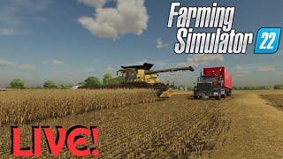 Wheat Harvest And Animal Care Horses And Sheep Farming Simulator 22 FS22